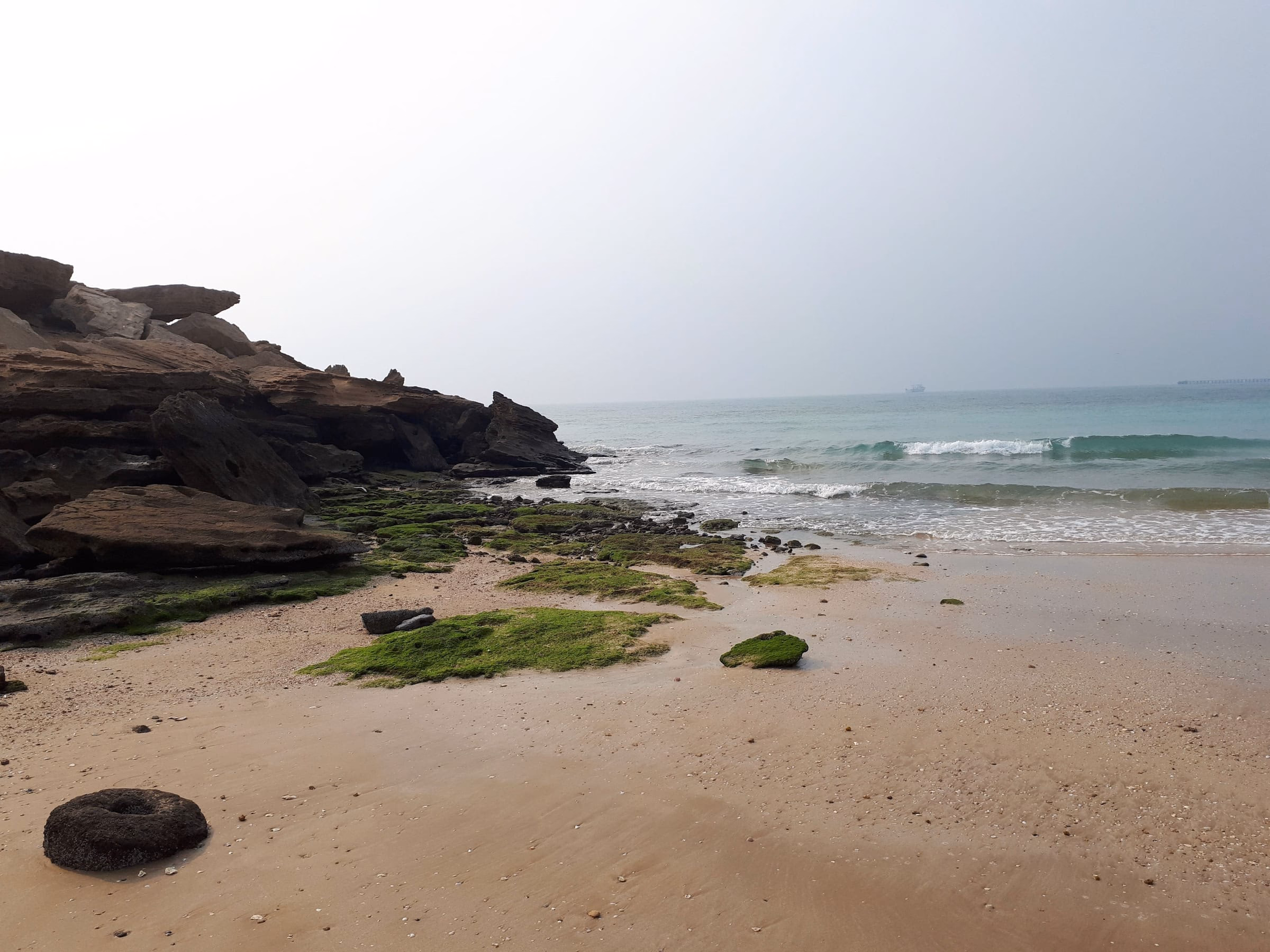 Felsige Kueste bei Ebbe mit Algen im Sand