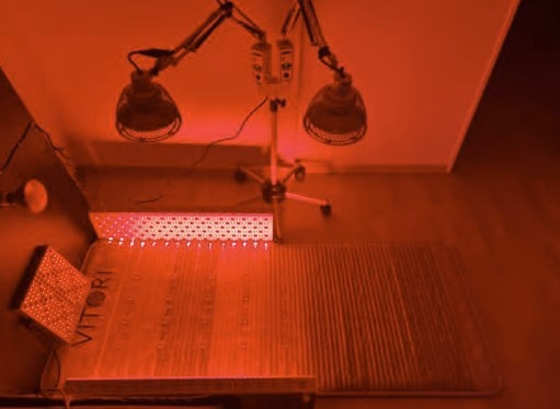 Behandlungsliege unter mehreren Rotlichtstrahlern in einem rot ausgeleuchteten Raum