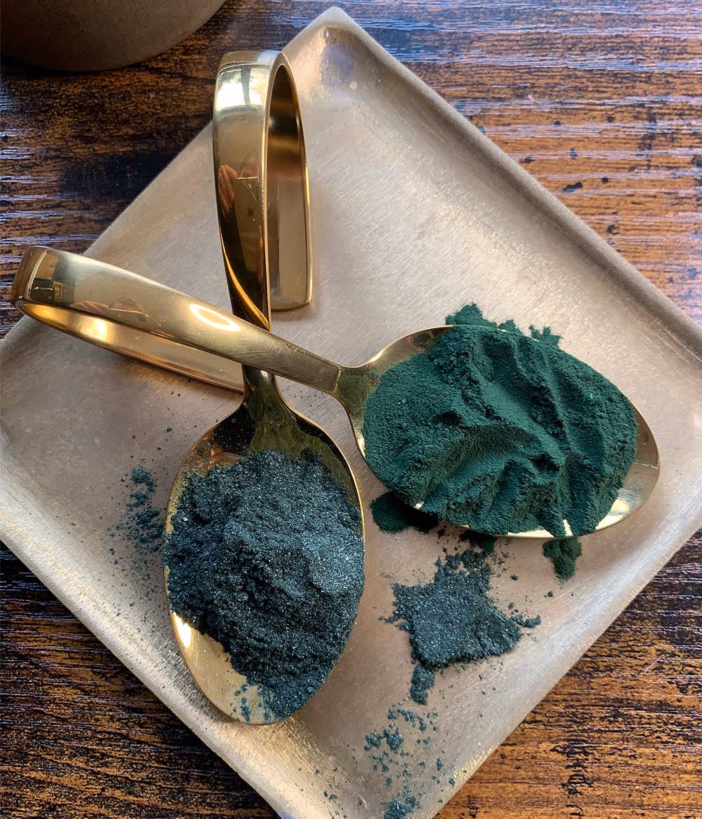 Zwei Goldloeffel mit dunkelgruenem Algenpulver auf einem Steinteller