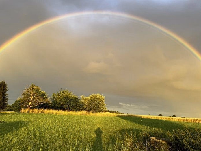 Voller Regenbogen ueber einer gruenen Wiese