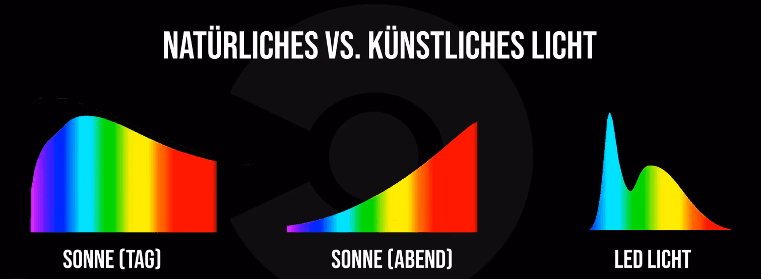 Grafik zum Vergleich der Lichtspektren von Sonne am Tag, Sonne am Abend und LED-Licht