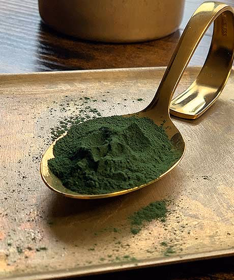 Goldener Loeffel mit Spirulina-Pulver in einer Steinschale